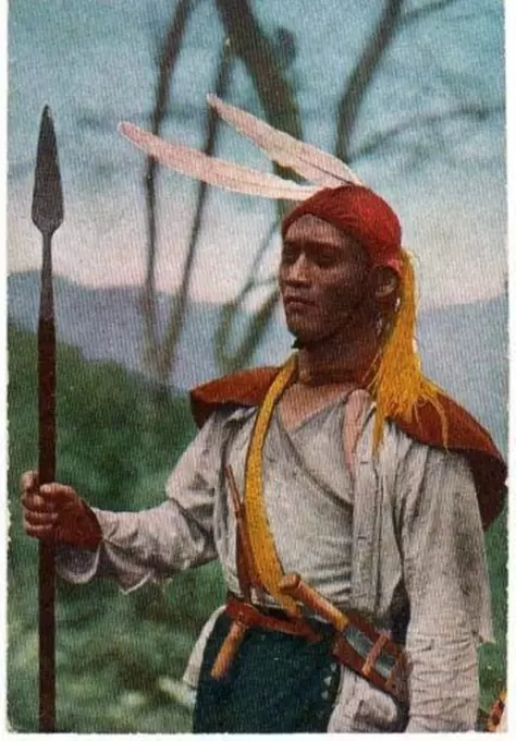 d44.jpg