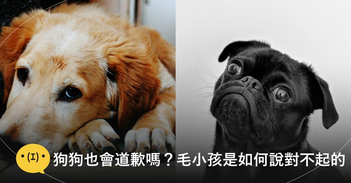 dfc5de348848cfb5f29a61edb696e5e7.jpg
